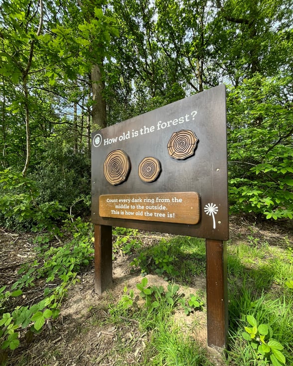Delamere & Glentress Forest Nature Trail