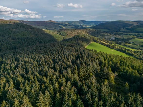 Find out more about Glentress Forest