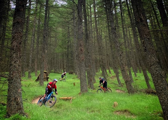 Guided mountain bike rides