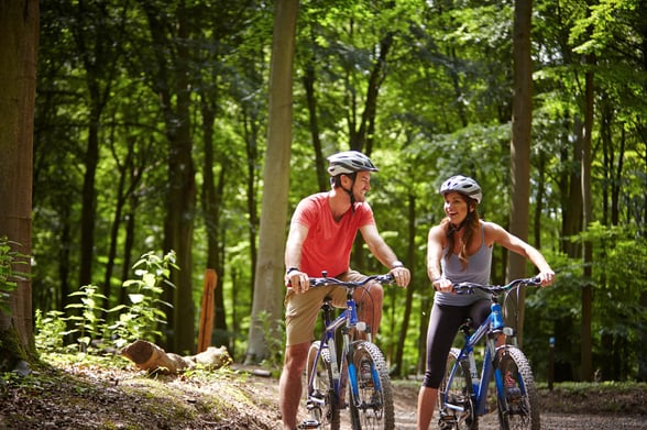 Bike hire