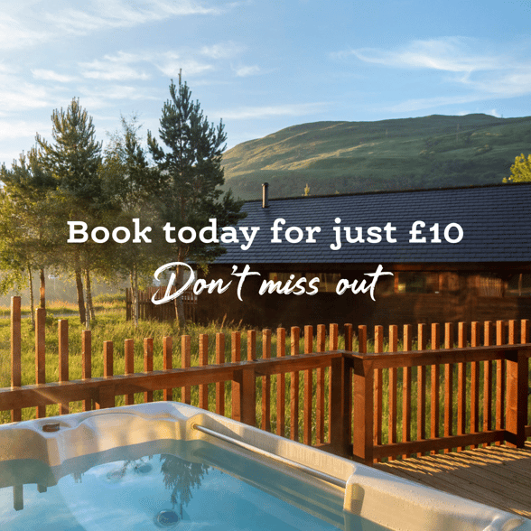 Last chance to book