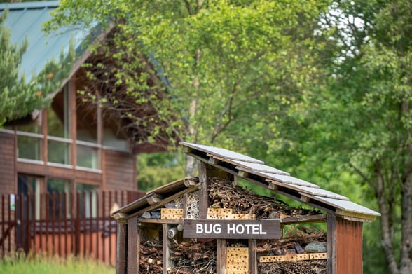 Bug hotel and wildlife