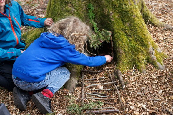 Forest Fairies trail