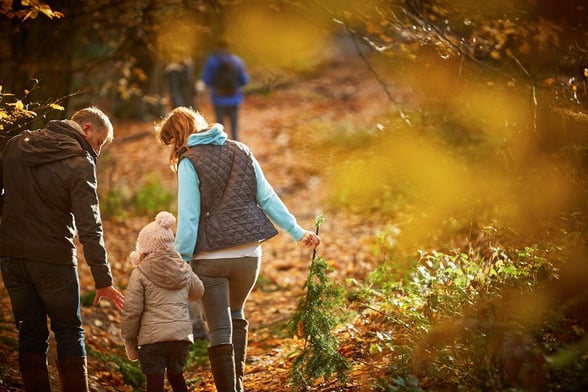 Mini Forest Rangers
