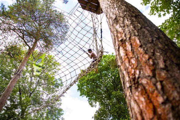 Treetop Challenge Plus 
