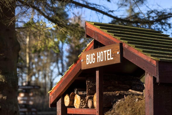 Bug hotel and wildlife