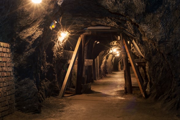 Go underground in search of history