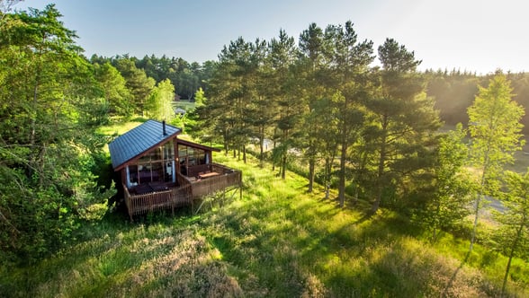 Pet-friendly getaway