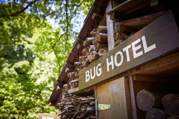 Bug hotel and wildlife