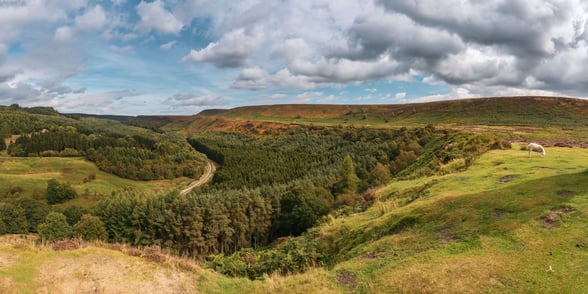 Yorkshire trails