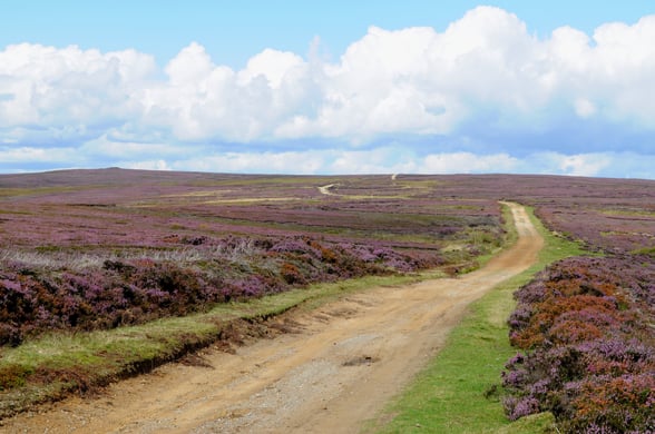 Explore the North Yorkshire countryside on two wheels