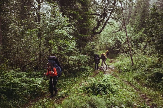 Walking & Hiking