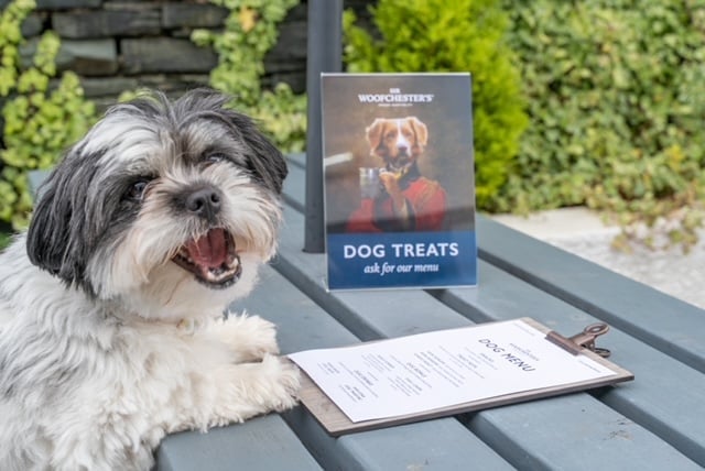 Dog with his Sir Woofchesters menu