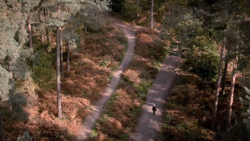 Aerial views of walking trails at Delamere Forest, Cheshire