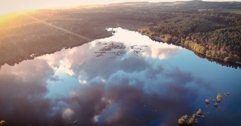 Aerial view of a lake at Delamere Forest, Cheshire