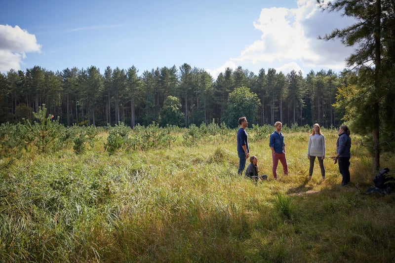 Group taking part in Forest Bathing