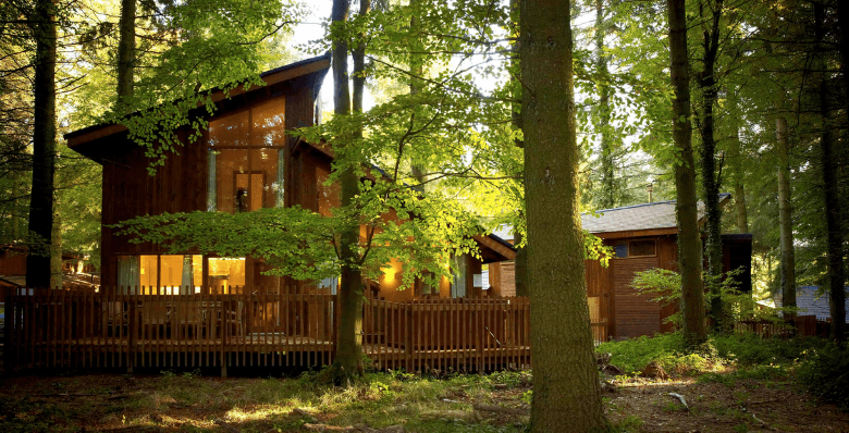 Forest of Dean log cabins in autumn