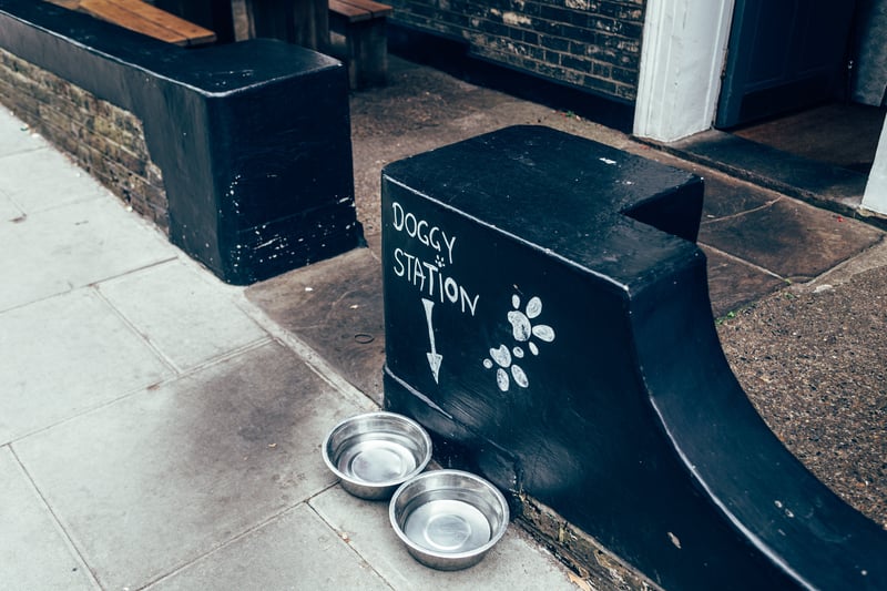 Dog-friendly pub in Norfolk