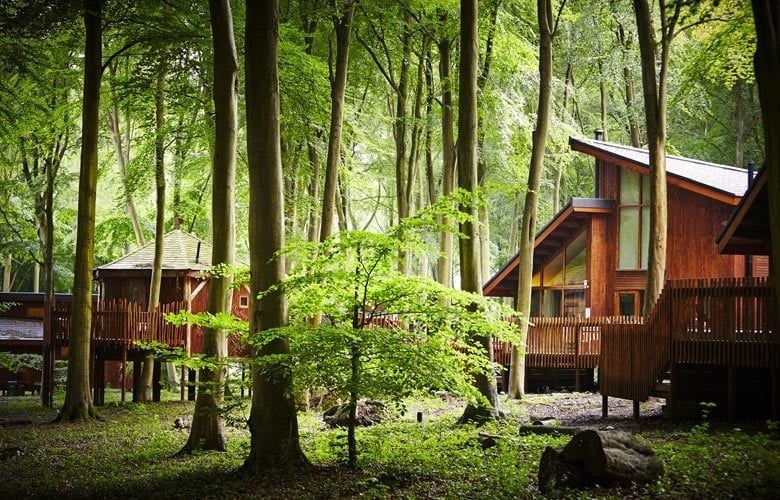 Treehouse cabin