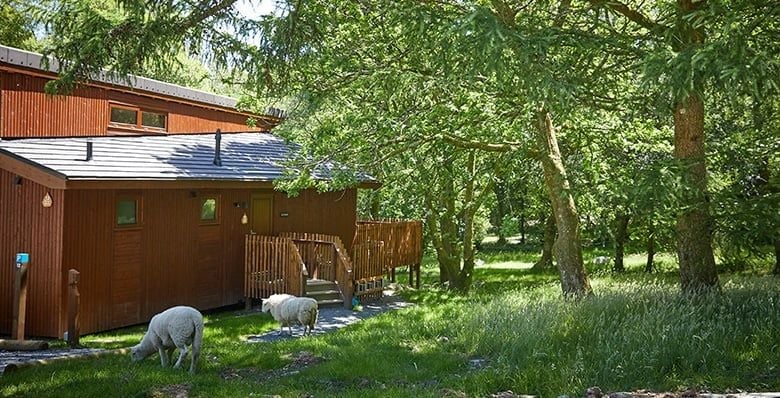 Cabin at Beddgelert in Wales