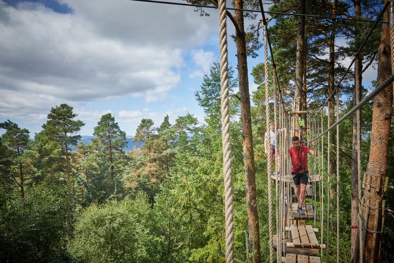 Treetop Challenge at Go Ape