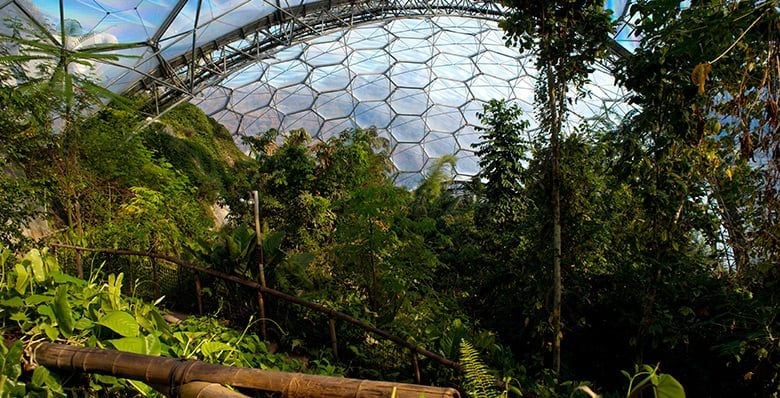 Biomes at Eden Project, Cornwall