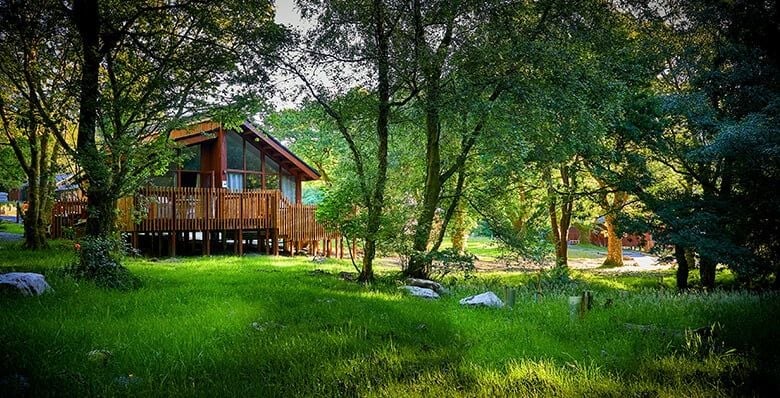 Silver Birch cabin with hot tub