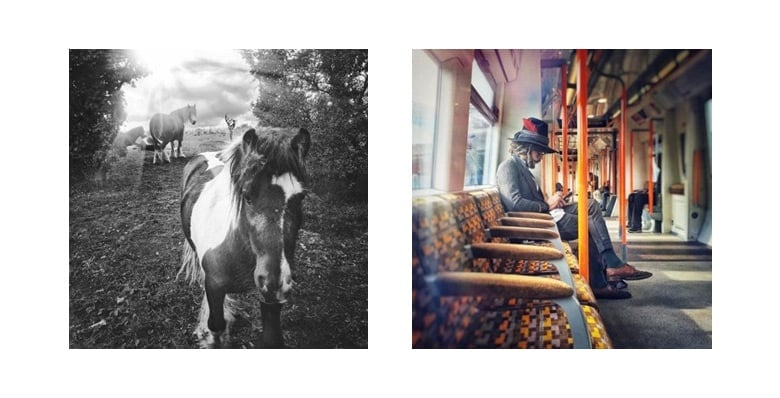 Photography images of horses and a man on the tube