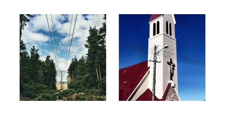 Photography images of a forest and a church steeple