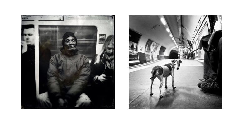 Photography black and white images of a man on the tube and a dog at the tube station