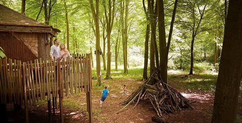 Den building activity at Forest Holidays