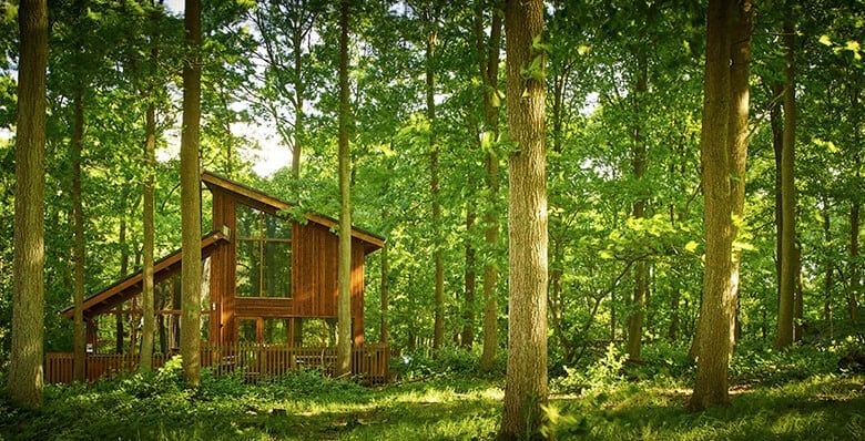 Log cabin in Sherwood Forest, Forest Holidays