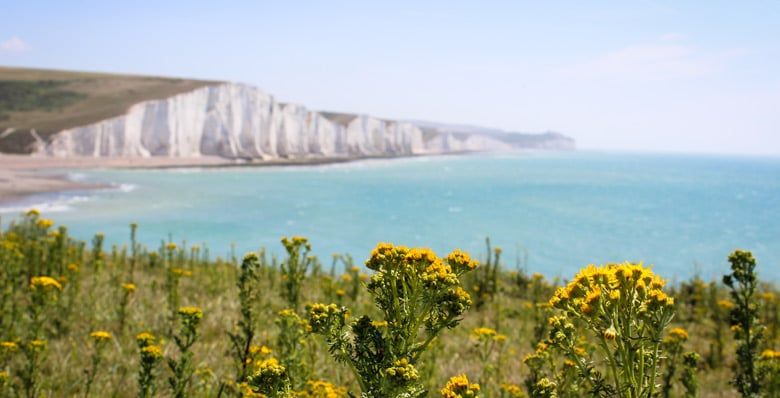 South Downs coast in Hampshire