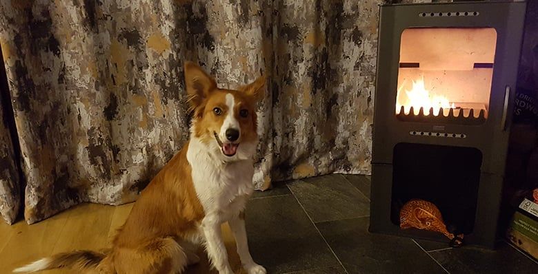 Get cosy in front of the log burner in the evening