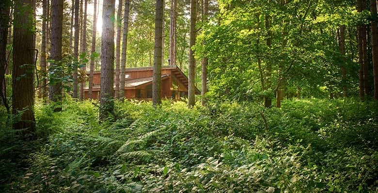 Hot tub cabins in Delamere Forest