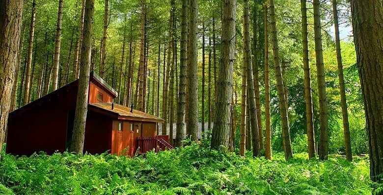 Cabin at Delamere Forest