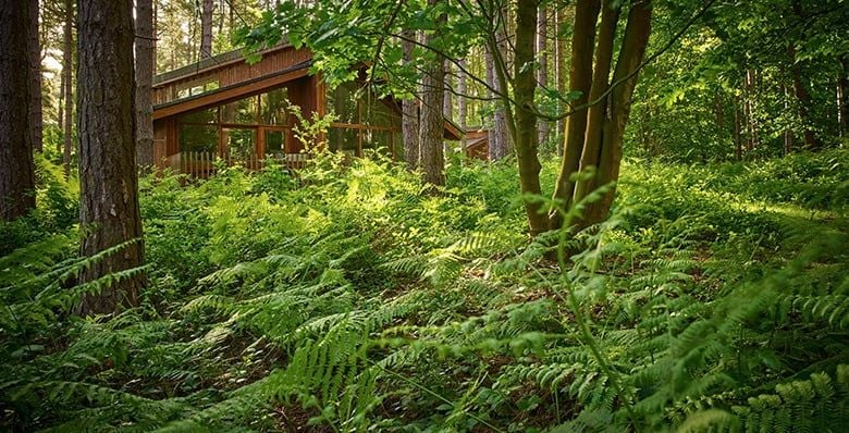 Log cabin nestled in the forest at Delamere, Forest Holidays