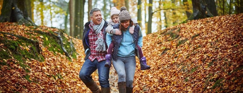 Family walks through the autumnal forest