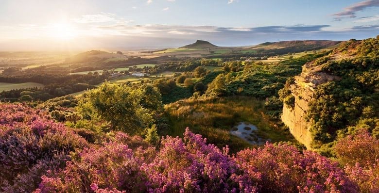 Sunny panoramic views of heather moorland in North Yorkshire