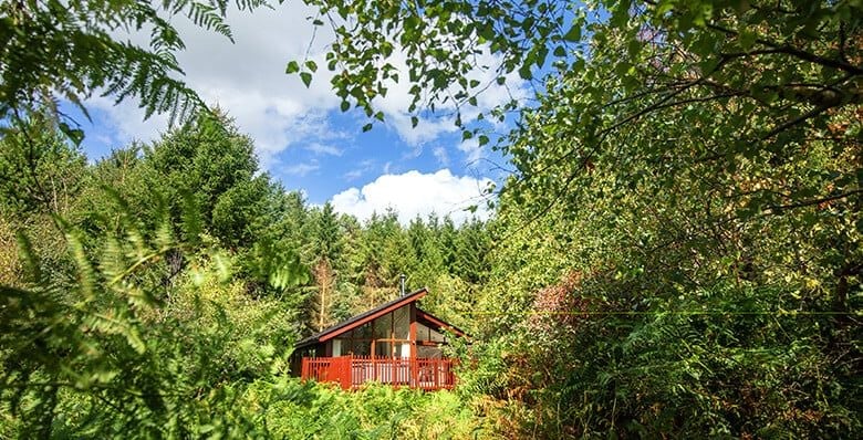 Cabin at Delamere Forest