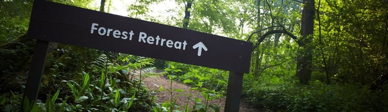 Forest Retreat sign on a forest trail