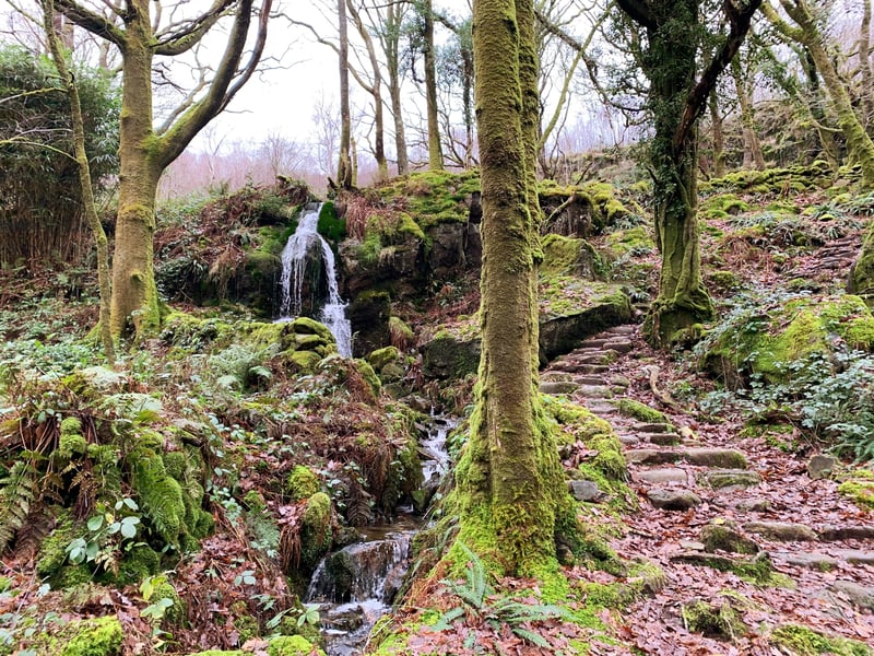 Trail of Dinas Emrys, Snowdonia Wales
