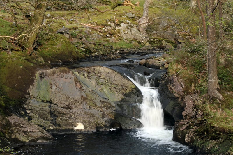 A Welsh mountain stream - the River Gamlan, Ganllwyd, Dolgellau, Gwynedd, Wales.