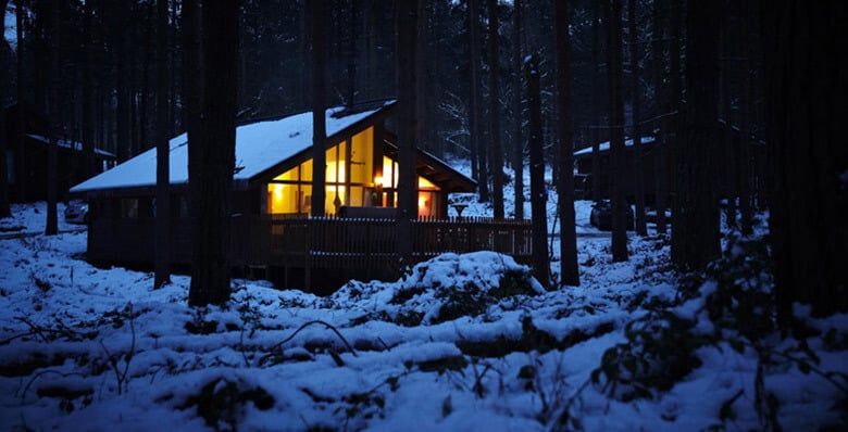 Snowy log cabin at Sherwood Forest