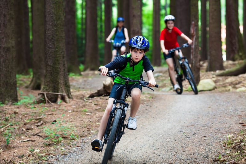 Family mountain biking in the forest 