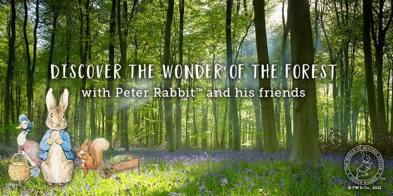 Peter Rabbit™ and friends at Forest Holidays