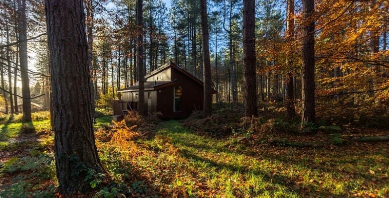 Forest Holidays log cabin